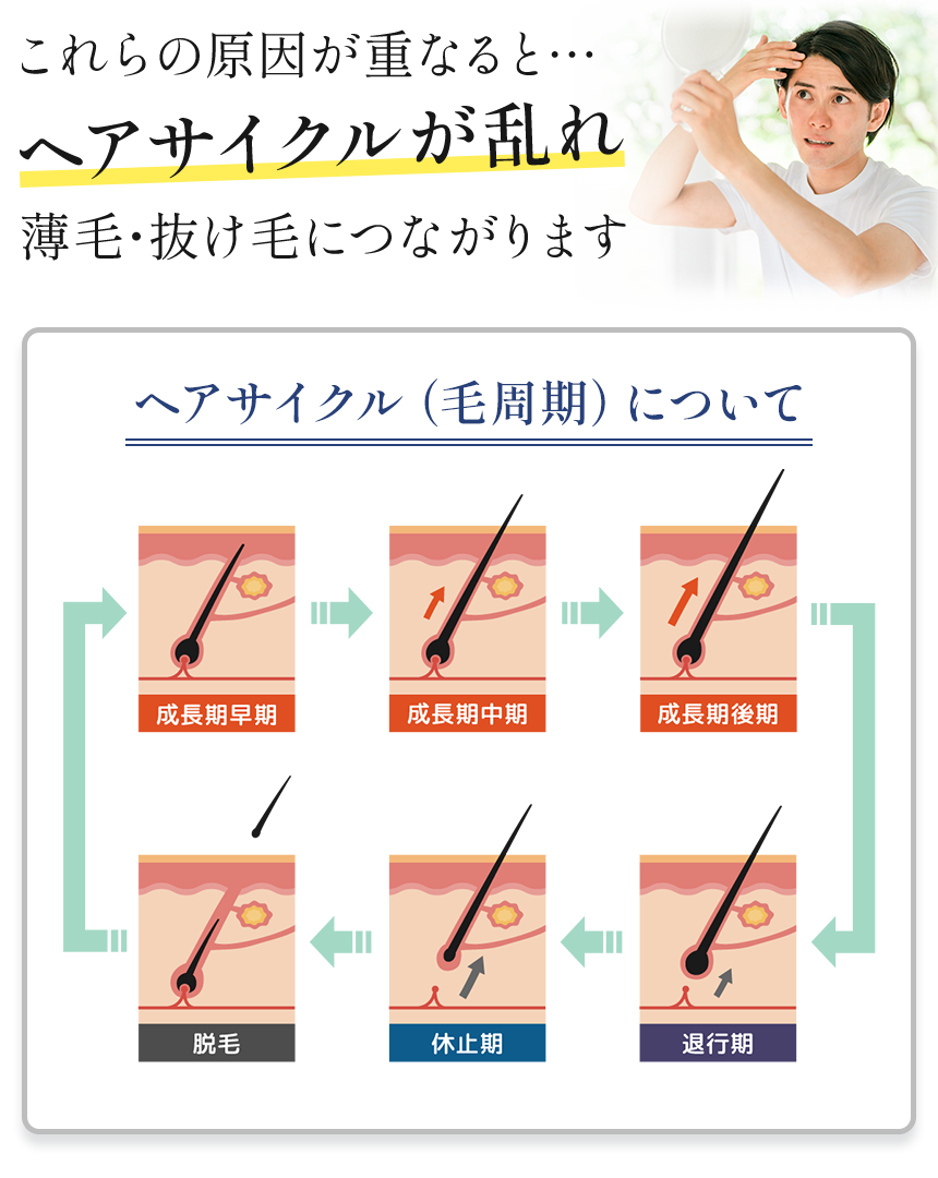 ヘアサイクル